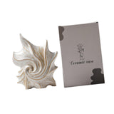 Maxbell Conch Shaped Flower Vase Floral Arrangement for Entrance Living Room Bedroom Color Box Packaging