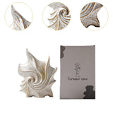Maxbell Conch Shaped Flower Vase Floral Arrangement for Entrance Living Room Bedroom Color Box Packaging