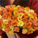 Maxbell Bouquet Blanket 60cm Crocheted Blanket for Valentine's Day Anniversary Gifts