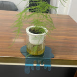 Maxbell Small Wall Shelf for Storage Multifunctional Organizer for Figures Plant Toy