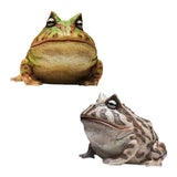 Maxbell Frog Figurine Landscape Funny Animal Sculpture for Patio Countertop Tabletop Green