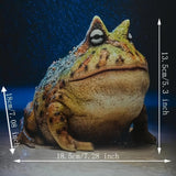 Maxbell Frog Figurine Landscape Funny Animal Sculpture for Patio Countertop Tabletop Green