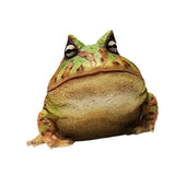 Maxbell Frog Figurine Landscape Funny Animal Sculpture for Patio Countertop Tabletop Green