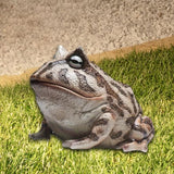 Maxbell Frog Figurine Landscape Funny Animal Sculpture for Patio Countertop Tabletop Gray
