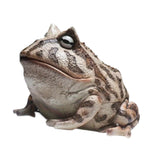 Maxbell Frog Figurine Landscape Funny Animal Sculpture for Patio Countertop Tabletop Gray