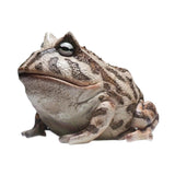 Maxbell Frog Figurine Landscape Funny Animal Sculpture for Patio Countertop Tabletop Gray