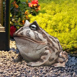 Maxbell Frog Figurine Landscape Funny Animal Sculpture for Patio Countertop Tabletop Gray
