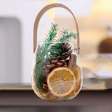 Maxbell Glass Storage Jar Belt Handle Flower Vase for Tabletop Indoor Plants Bedroom Large