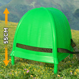 Maxbell Back Basket Heavy Duty Orchard Picking Basket for Shopping Gardening Camping Green