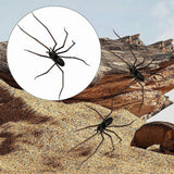 Maxbell Spider Fridge Magnet Holiday Car Garage Door Halloween Strong Magnetic Decal