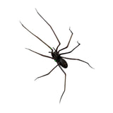 Maxbell Spider Fridge Magnet Holiday Car Garage Door Halloween Strong Magnetic Decal