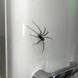 Maxbell Spider Fridge Magnet Holiday Car Garage Door Halloween Strong Magnetic Decal