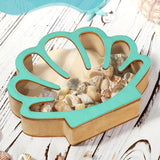 Maxbell Shell Display Case Seashell Shaped Wooden Box for Living Rooms Mantel Office
