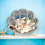 Maxbell Shell Display Case Seashell Shaped Wooden Box for Living Rooms Mantel Office