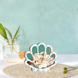 Maxbell Shell Display Case Seashell Shaped Wooden Box for Living Rooms Mantel Office