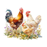 Maxbell Wall Sticker Rooster Chicken Waterproof PVC Wallpaper for Farm Home Restroom