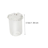 Maxbell Small Glass Vase Gift Clear Flowerpot for Living Room Room Table Centerpiece