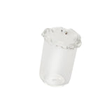 Maxbell Small Glass Vase Gift Clear Flowerpot for Living Room Room Table Centerpiece