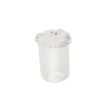 Maxbell Small Glass Vase Gift Clear Flowerpot for Living Room Room Table Centerpiece