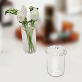 Maxbell Small Glass Vase Gift Clear Flowerpot for Living Room Room Table Centerpiece