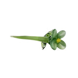 Maxbell Mini Glass Flower Decorative Decor Ornament for Mom Wife Anniversary Desktop Green