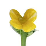 Maxbell Mini Glass Flower Decorative Decor Ornament for Mom Wife Anniversary Desktop Yellow