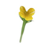 Maxbell Mini Glass Flower Decorative Decor Ornament for Mom Wife Anniversary Desktop Yellow