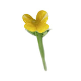 Maxbell Mini Glass Flower Decorative Decor Ornament for Mom Wife Anniversary Desktop Yellow