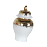 Maxbell Ceramic Covered Jar Vase Porcelain Ginger Jar for Flower Arrangement Bedroom