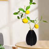 Maxbell Ceramic Vase Photo Prop Modern Fruit Vase for Dorm Room Bathroom Living Room Black