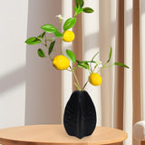 Maxbell Ceramic Vase Photo Prop Modern Fruit Vase for Dorm Room Bathroom Living Room Black