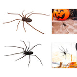 Maxbell 3D Spider Fridge Magnet Halloween Magnetic Decal for Office Refrigerator Car Black