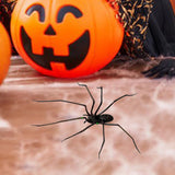 Maxbell 3D Spider Fridge Magnet Halloween Magnetic Decal for Office Refrigerator Car Black