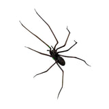 Maxbell 3D Spider Fridge Magnet Halloween Magnetic Decal for Office Refrigerator Car Black
