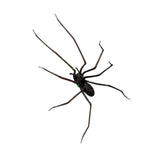 Maxbell 3D Spider Fridge Magnet Halloween Magnetic Decal for Office Refrigerator Car Black