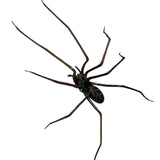 Maxbell 3D Spider Fridge Magnet Halloween Magnetic Decal for Office Refrigerator Car Black