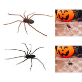 Maxbell 3D Spider Fridge Magnet Halloween Magnetic Decal for Office Refrigerator Car Black