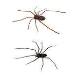 Maxbell 3D Spider Fridge Magnet Halloween Magnetic Decal for Office Refrigerator Car Black