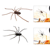 Maxbell 3D Spider Fridge Magnet Halloween Magnetic Decal for Office Refrigerator Car Black