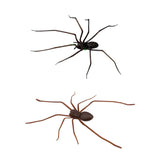 Maxbell 3D Spider Fridge Magnet Halloween Magnetic Decal for Office Refrigerator Car Black
