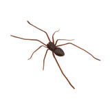 Maxbell 3D Spider Fridge Magnet Halloween Magnetic Decal for Office Refrigerator Car Dark Brown