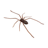 Maxbell 3D Spider Fridge Magnet Halloween Magnetic Decal for Office Refrigerator Car Dark Brown