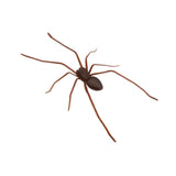 Maxbell 3D Spider Fridge Magnet Halloween Magnetic Decal for Office Refrigerator Car Dark Brown
