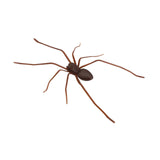 Maxbell 3D Spider Fridge Magnet Halloween Magnetic Decal for Office Refrigerator Car Dark Brown