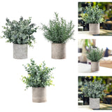 Maxbell Artificial Small Potted Plants for Desktop Ornament Desk Tabletop Decoration Eucalyptus