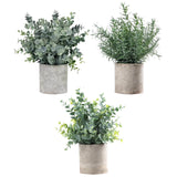 Maxbell Artificial Small Potted Plants for Desktop Ornament Desk Tabletop Decoration Eucalyptus
