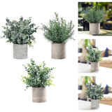 Maxbell Artificial Small Potted Plants for Desktop Ornament Desk Tabletop Decoration Eucalyptus