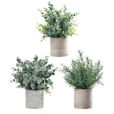 Maxbell Artificial Small Potted Plants for Desktop Ornament Desk Tabletop Decoration Eucalyptus
