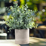 Maxbell Artificial Small Potted Plants for Desktop Ornament Desk Tabletop Decoration Eucalyptus