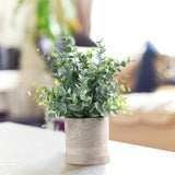 Maxbell Artificial Small Potted Plants for Desktop Ornament Desk Tabletop Decoration Eucalyptus